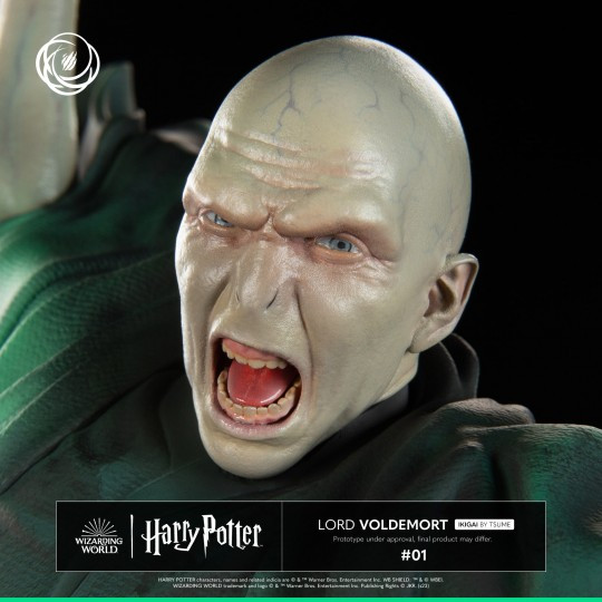 Lord Voldemort IKIGAI Tsume