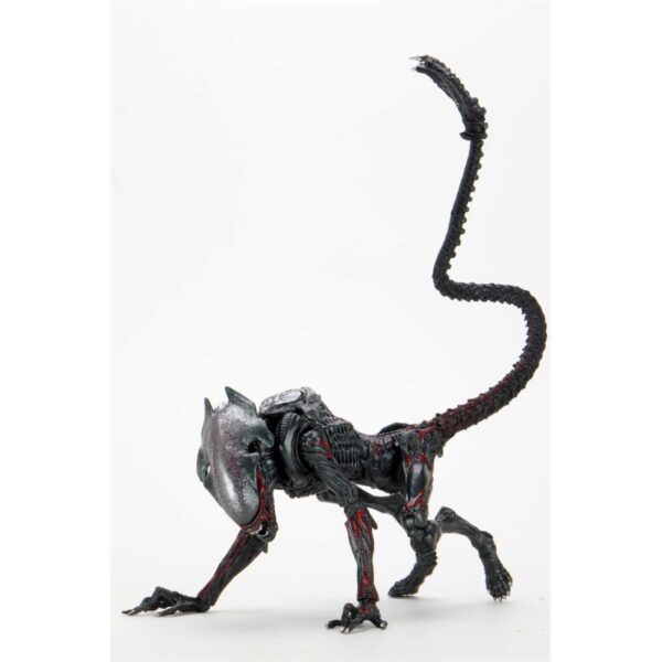 Night Cougar Alien es la última incorporación a la línea Kenner Tribute de NECA. Inspirándose en el clásico Expanded Universe Aliens de principios de la década de 1990, han transformado este clásico de Kenner en una versión moderna con todos los detalles y articulaciones actuales. Night Cougar Alien mide aproximadamente 23 cm de largo y cuenta con una cola flexible, además de un dron desmontable que se adhiere magnéticamente a su espalda.